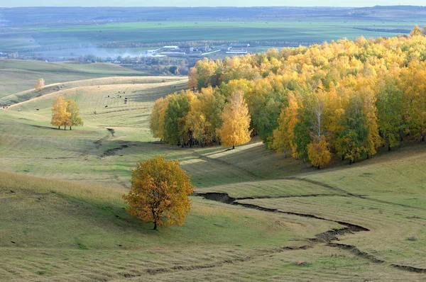 Höst — Stockfoto