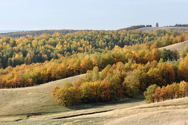 Sonbahar — Stok fotoğraf