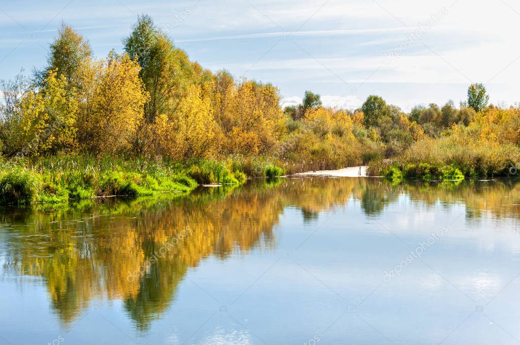 Autumn, the river covered with forest, a bright sunny day