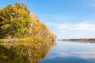 Sonbahar nehri, Sonbahar ağaçları altın içinde
