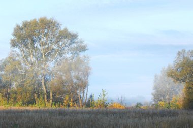 Sonbahar sisi gün doğumu