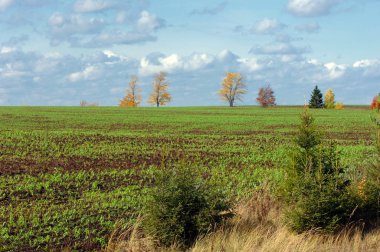 sonbahar günbatımı