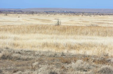 Bozkır Sonbahar geldi