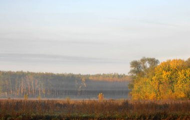 Sonbahar, altın yaprakları, harika bir zaman gün sıcak