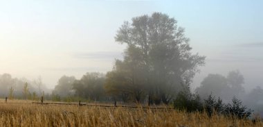 Sonbahar, altın yaprakları, harika bir zaman gün sıcak