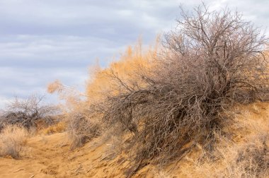 Bozkır Sonbahar geldi
