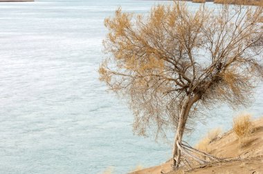 Bozkır Sonbahar geldi