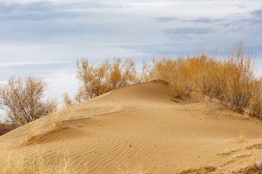 Bozkır Sonbahar geldi