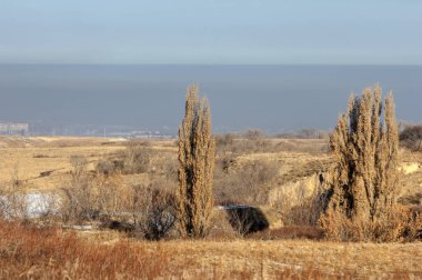 sonbahar Frost'un çim ve ağaçların üzerinde