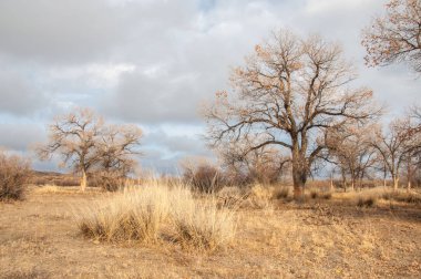 Bozkır Sonbahar geldi