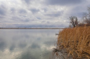 sonbahar Frost'un çim ve ağaçların üzerinde