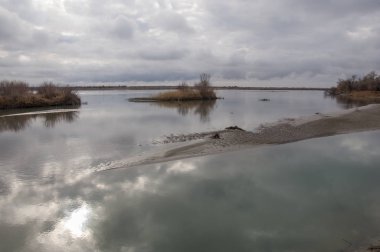 sonbahar Frost'un çim ve ağaçların üzerinde