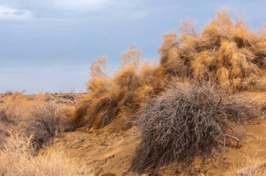 Bozkır Sonbahar geldi