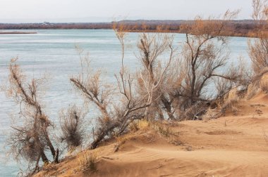 Bozkır Sonbahar geldi