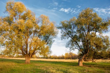 sonbahar günbatımı