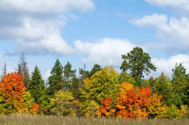 Sonbahar için harika bir zaman