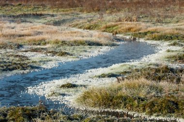 sonbahar park. sonunda geri. 