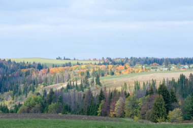 Sonbahar için harika bir zaman