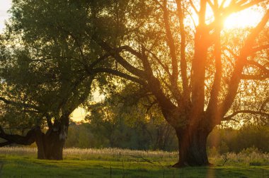 sonbahar günbatımı