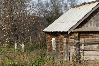 sonbahar Frost'un çim ve ağaçların üzerinde