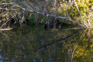 Sonbahar için harika bir zaman