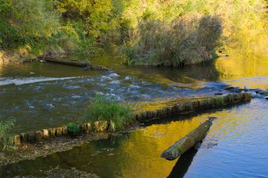 Sonbahar için harika bir zaman