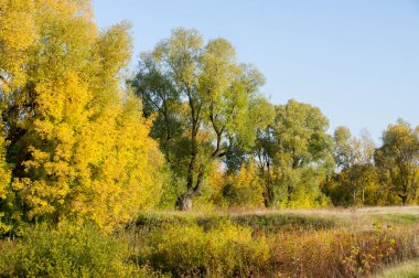 Sonbahar için harika bir zaman