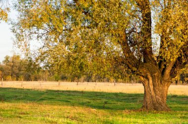 sonbahar günbatımı