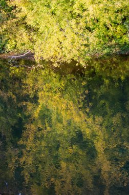 Sonbahar için harika bir zaman