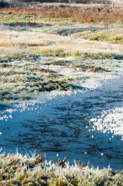 sonbahar park. sonunda geri. 