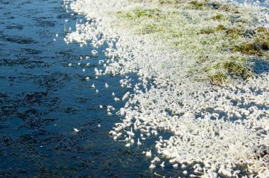 sonbahar park. sonunda geri. 