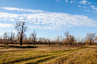 sonbahar park. sonunda geri. 