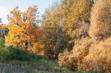 Sonbahar için harika bir zaman