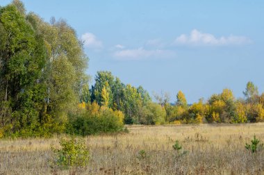 Sonbahar için harika bir zaman