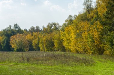 Sonbahar için harika bir zaman