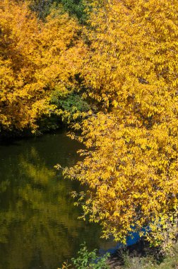Sonbahar için harika bir zaman