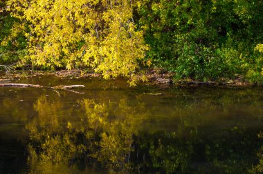 Sonbahar için harika bir zaman