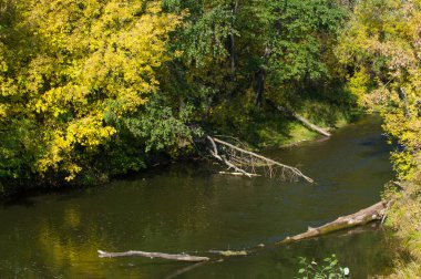 Sonbahar için harika bir zaman