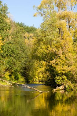 Sonbahar için harika bir zaman