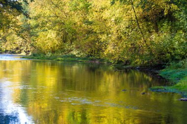 Sonbahar için harika bir zaman