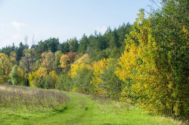 Sonbahar için harika bir zaman