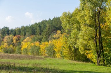 Sonbahar için harika bir zaman