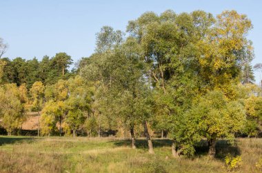 Sonbahar için harika bir zaman