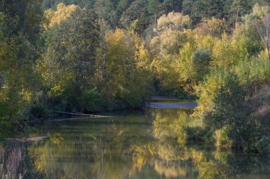 Sonbahar için harika bir zaman