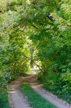 Sonbahar için harika bir zaman
