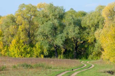 Sonbahar için harika bir zaman