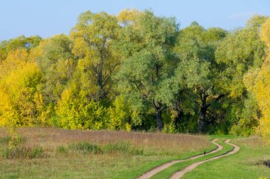 Sonbahar için harika bir zaman