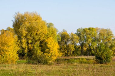 Sonbahar için harika bir zaman
