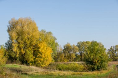 Sonbahar için harika bir zaman