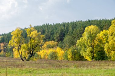 Sonbahar, Güz, yaprak sonbahar, sonbahar yaprak